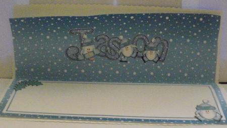 Xmas Jason Matching Large Dl Insert by Jayne Smith