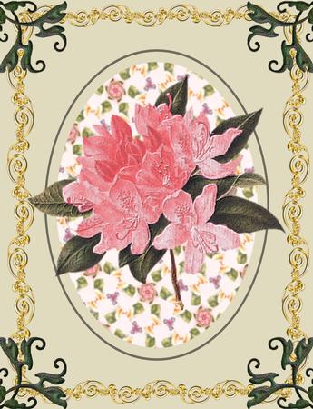 Floral Fantasy Paper Pack - Cu4cu by Jayne Smith