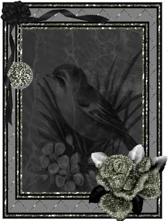 Black Bird Duo A4 Backing Paper by Jayne Smith