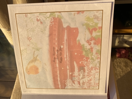 Christmas Robin Insert 3 by Jayne Taplin