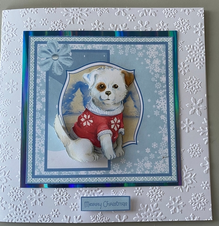Patch the dog 6x6 by Jayne Taplin