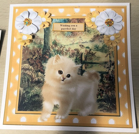 Wishing you a purrfect day card topper & decoupage by Jayne Taplin