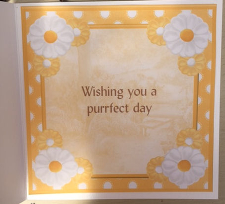 Wishing you a purrfect day card topper & decoupage by Jayne Taplin