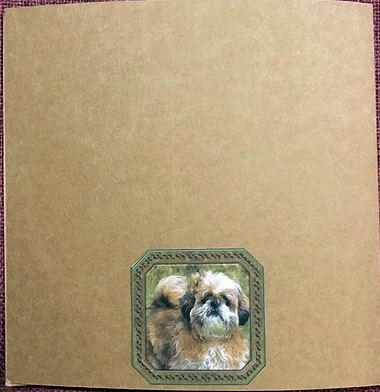 JJ SHIH TZU 8X8 1 by Jayne Taplin