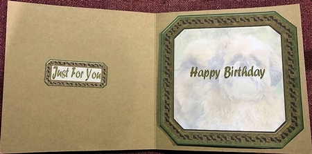 JJ SHIH TZU 8X8 1 INSERT HAPPY BIRTHDAY by Jayne Taplin