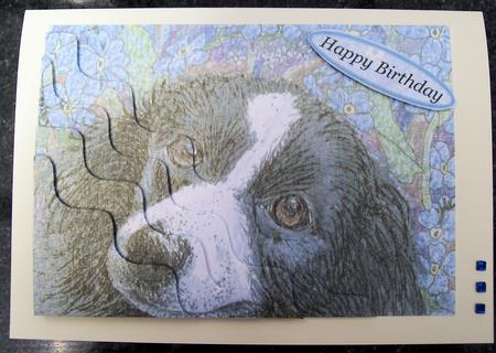 Forget Me Not Border Collie Dog Wavy Corner Stacker Topper by Jayne Taplin