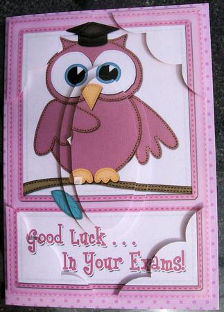 A5 Wise Owl Exam Good Luck Felties Scallop Corners and Pyram by Jayne Taplin