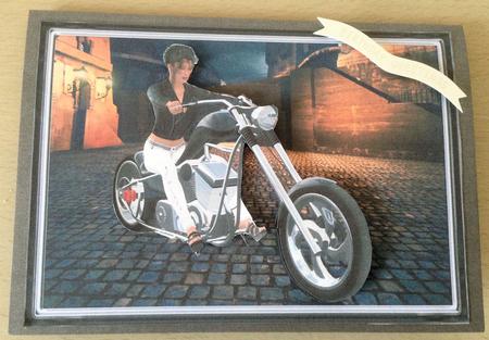 Born to Ride by Jayne Taplin