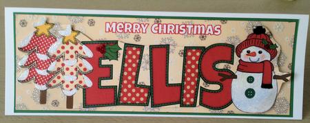 Cute Snowman Ellis Large Dl by Jayne Taplin