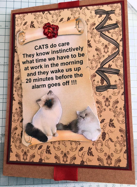 Cats 2 by Jayne Taplin
