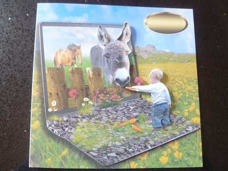 a carrot for you  by Jean Harrison