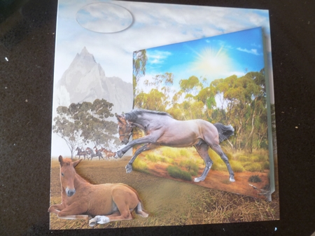 joining the herd by Jean Harrison