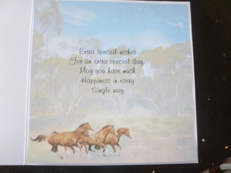joining the herd by Jean Harrison