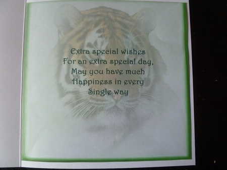 tiger and boy  by Jean Harrison