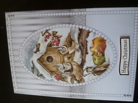 A5 Topper &  Insert Elegant Pearls    Birdhouse  by Jean Harrison