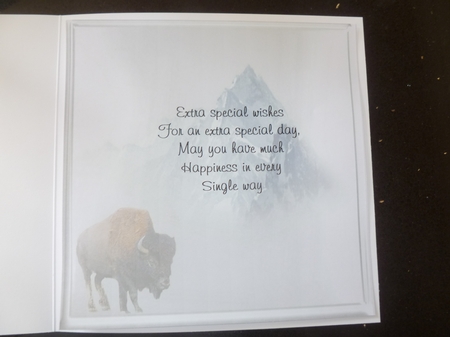 the treck of the bison by Jean Harrison
