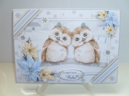 Hope Your Christmas is a Hoot! by Jean Harrison
