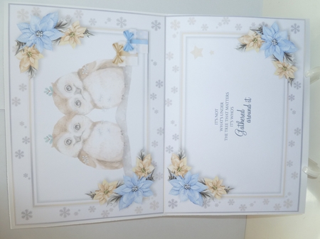 Hope Your Christmas is a Hoot! by Jean Harrison