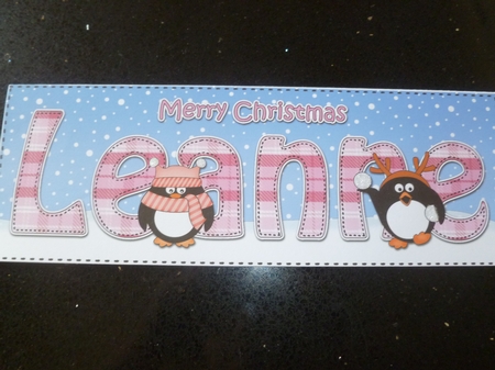 Large DL Merry Christmas LEANNE insert by Jean Harrison