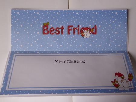 Large DL Merry Christmas BEST FRIEND insert with Snowball Sam by Jean Harrison