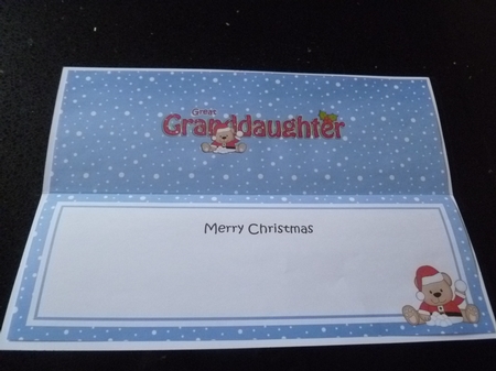 Large DL Merry Christmas GREAT GRANDDAUGHTER insert by Jean Harrison