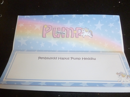 Large DL Welsh PENBLWYDD HAPUS PUMP HEDDIW (Happy Birthday five today) insert by Jean Harrison
