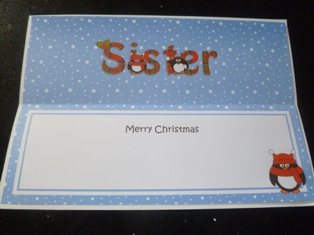 Large DL Merry Christmas SISTER insert with Tartan Penguins by Jean Harrison