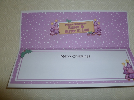 Large DL Merry Christmas SISTER & SISTER IN LAW with Santa insert by Jean Harrison