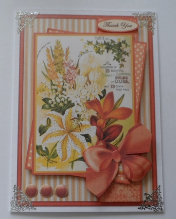 seed packet 5, vintage, gardening, mothers day, Easter, get well, all occasion, flowers, mom, mum, birthday by Jean-Marie Penny