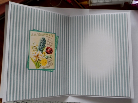 seed packet 6 insert by Jean-Marie Penny