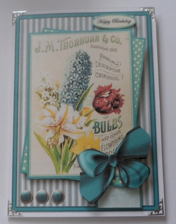 seed packet 6 insert by Jean-Marie Penny