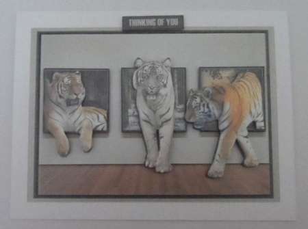 TIGERS by Jean-Marie Penny