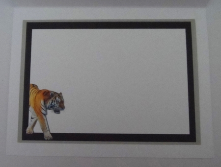 TIGERS by Jean-Marie Penny