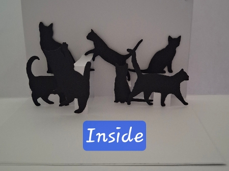 Cats by Jean-Marie Penny