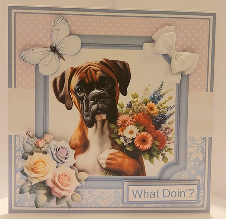 FURBABY FLOWERS 2  by Jean-Marie Penny