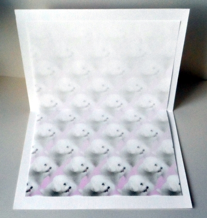 Bichon Frise Dog Vellum Sheet by Jean-Marie Penny