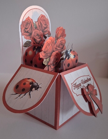 Flowers & Ladybirds Pop-Up Box Mini Kit by Jean-Marie Penny