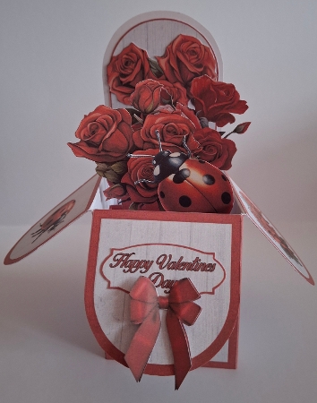 Flowers & Ladybirds Pop-Up Box Mini Kit by Jean-Marie Penny