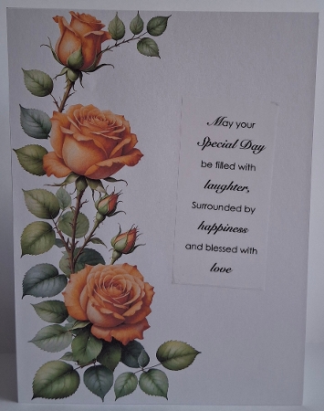 Orange Roses Floral Corners & Borders by Jean-Marie Penny