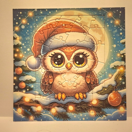 Owl on a Snowy Branch  by Jean-Marie Penny