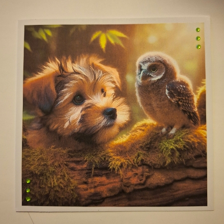 20+ dogs and baby owls by Jean-Marie Penny