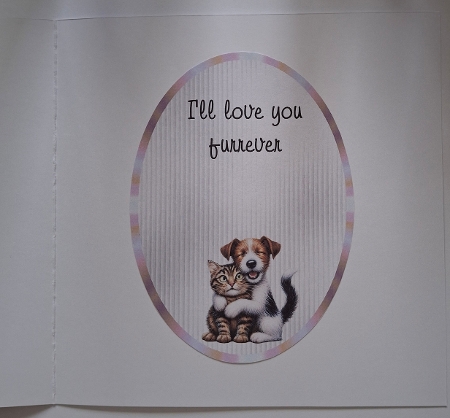 Matching insert sheet for the design sheet - Funny Valentines 2 by Jean-Marie Penny