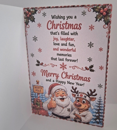 why santa is good at martial arts by Jean-Marie Penny