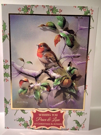 Festive and Fun Christmas Background Paper Pack by Jean-Marie Penny