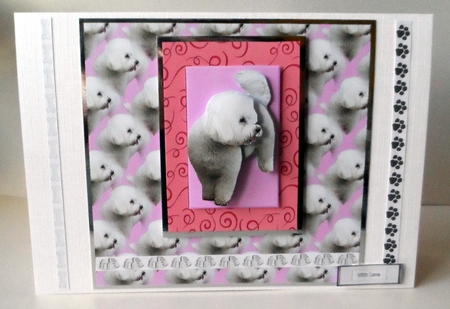 Bichon Frise 3D Decoupage with Background by Jean-Marie Penny