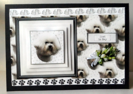 Bichon Frise Portrait Pyramid by Jean-Marie Penny