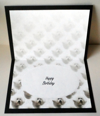 Bichon Frise Portrait Insert by Jean-Marie Penny