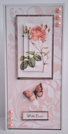 All in One Dl Redoute Rose and Butterfly by Jean-Marie Penny
