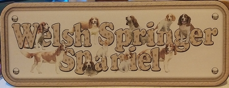 Welsh Springer Spaniel Name Sign by Jean-Marie Penny