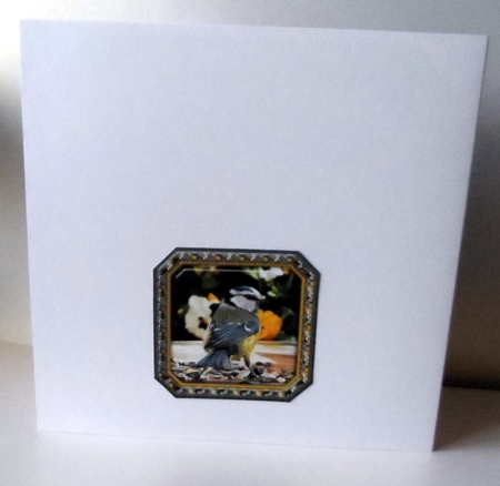  JJ BLUE TIT 8X8 INSERT HAPPY BIRTHDAY by Jean-Marie Penny
